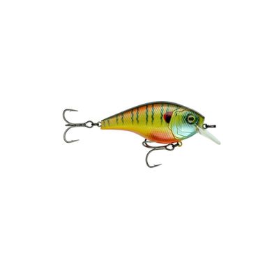 Hard Baits