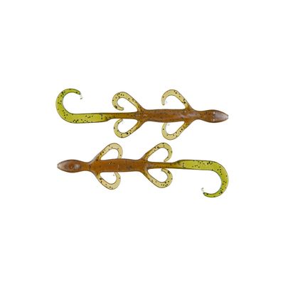 Lizards