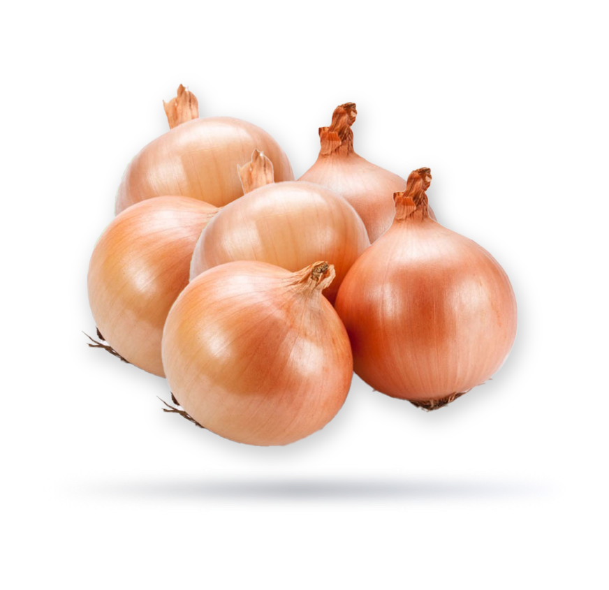 بصل اصفر امريكي