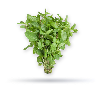 نعناع كويتي