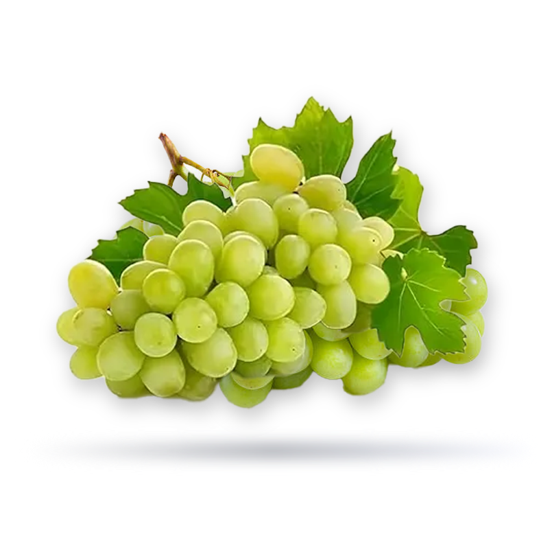 عنب اخضر اردني