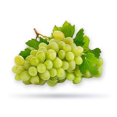 عنب اخضر اردني