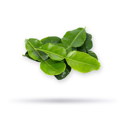 ورق ليمون هولندي