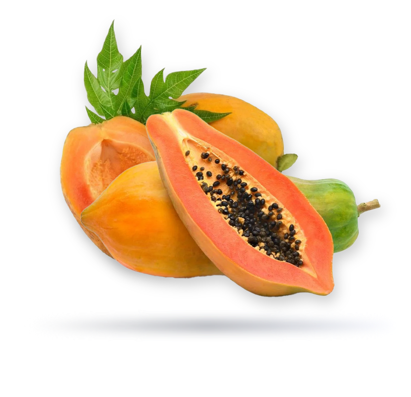بابايا تايلاندي