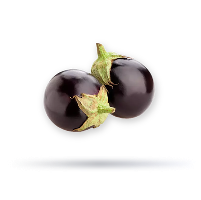 بذنجان صغير كويتي