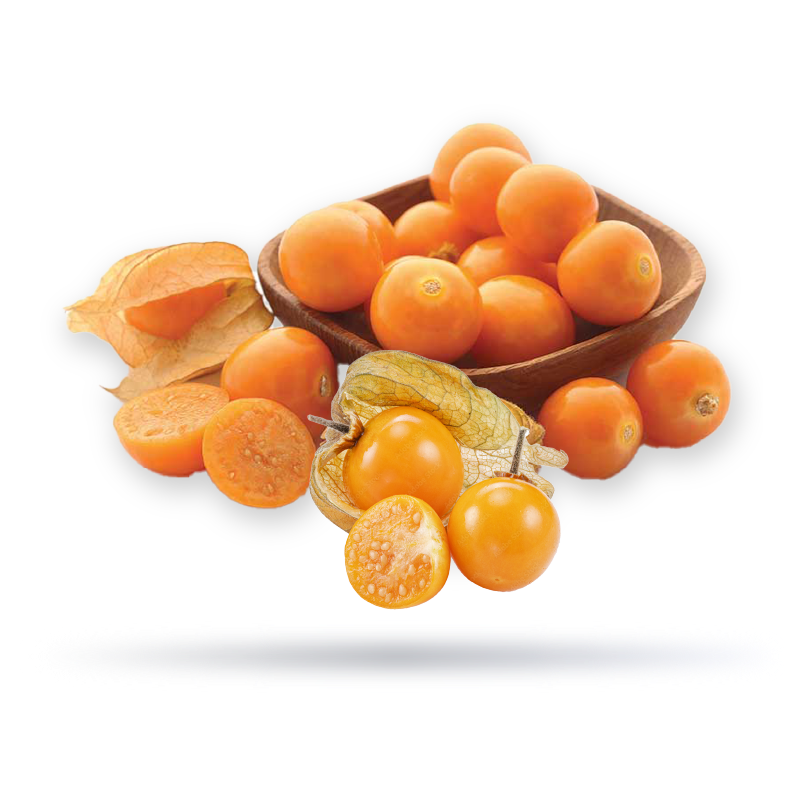 حرنكش جولدن بيرى هولندي