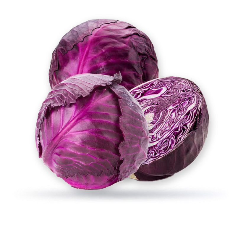 ملفوف احمر سعودي