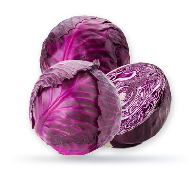 ملفوف احمر سعودي
