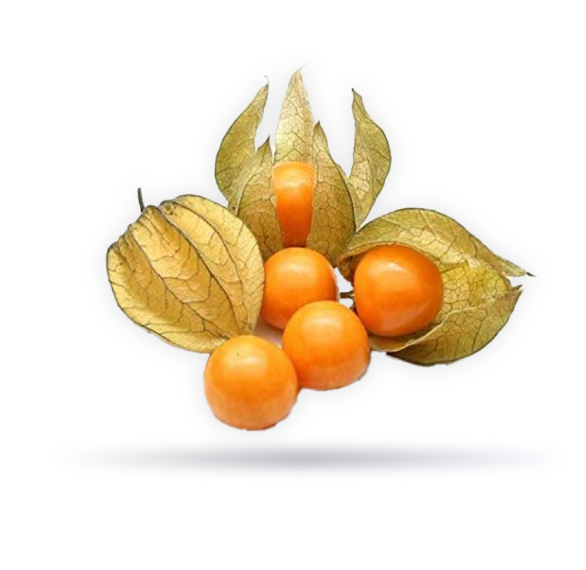 حرنكش جولدن بيرى يوناني