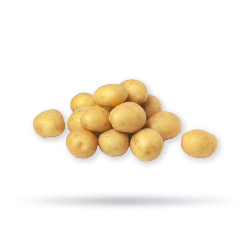 بطاطا بيبي امريكي