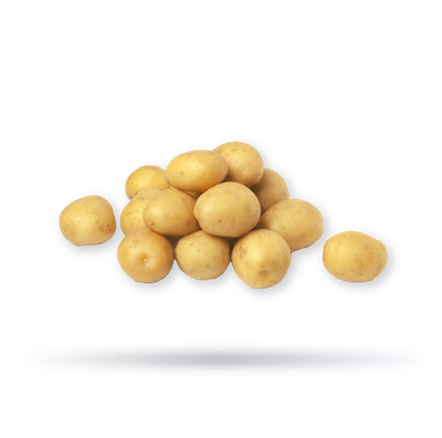 بطاطا بيبي امريكي