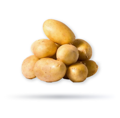 بطاطا باكستاني