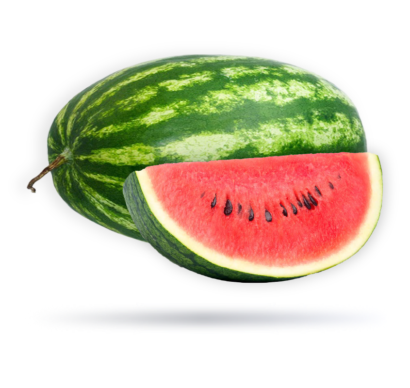 رقي اردني
