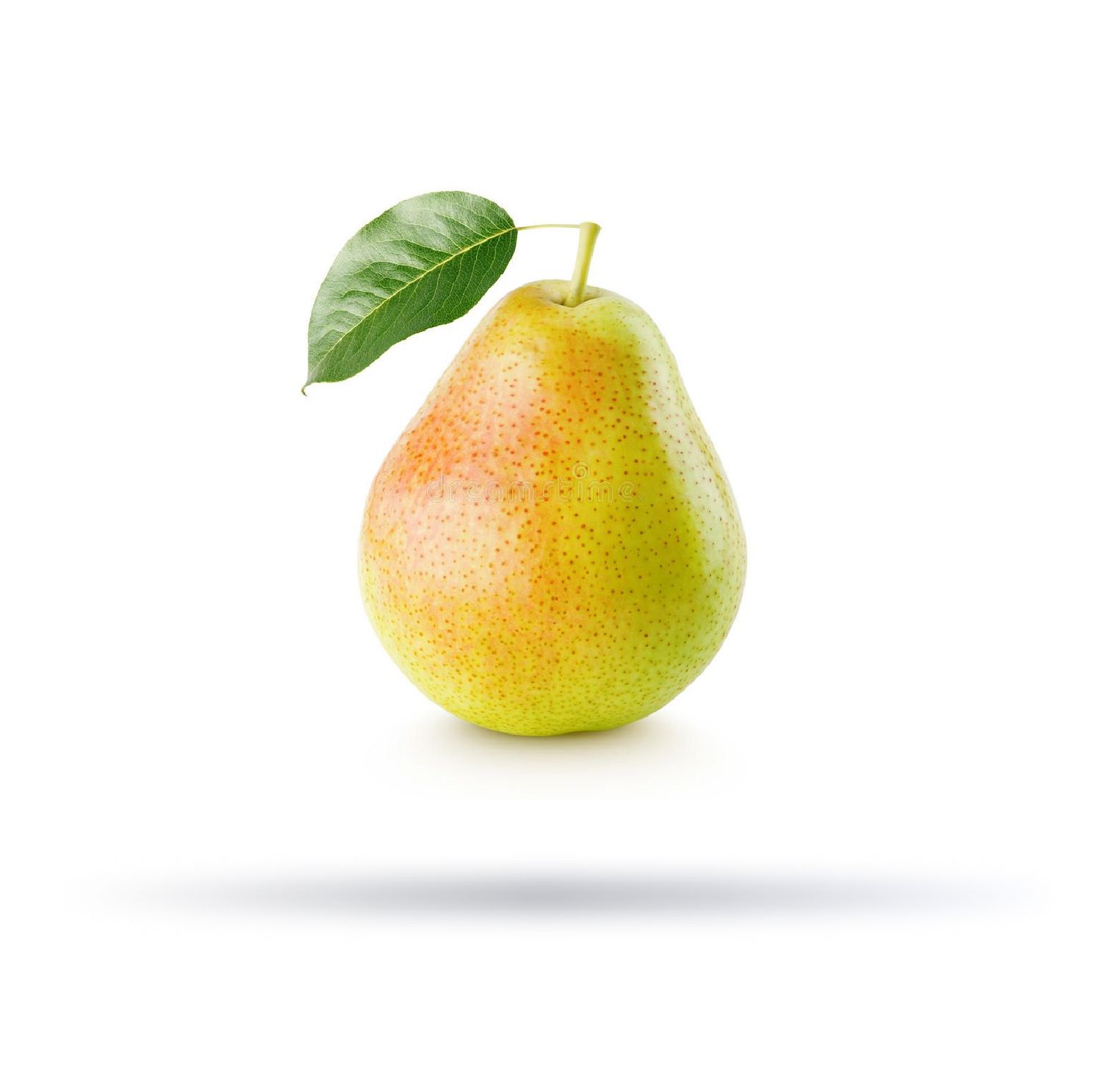 عرموط جنوب افريقي