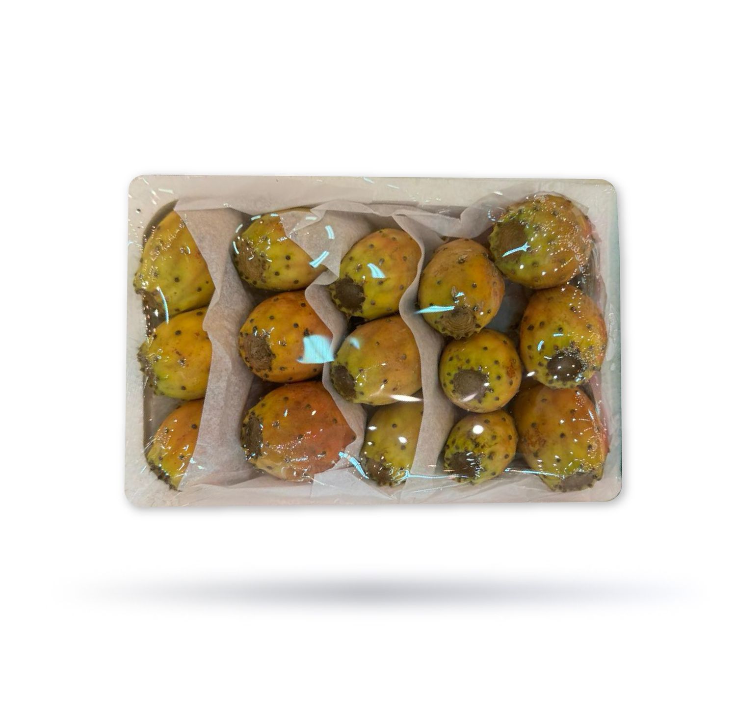 التين الشوكي مصري