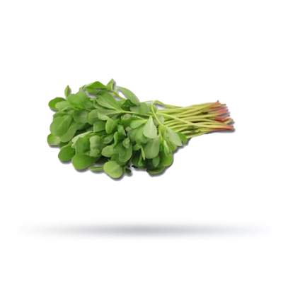 بربير كويتي