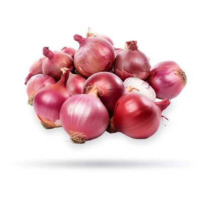 بصل احمر هندي