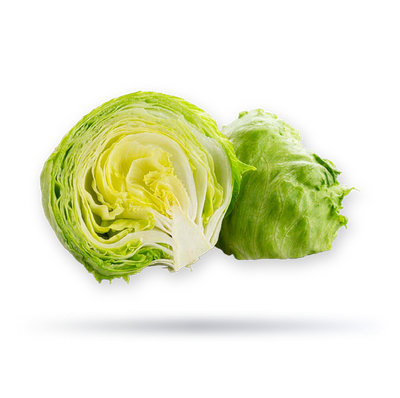 خس مدور اسباني