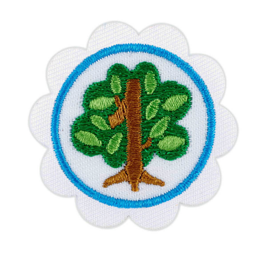 DAISY SHAPES IN NATURE BADGE