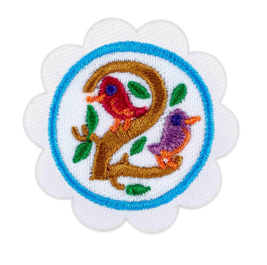 DAISY NUMBERS IN NATURE BADGE