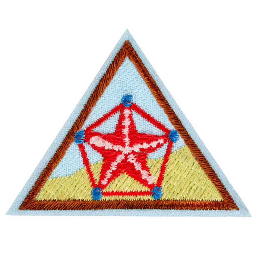 BROWNIE NUMBERS IN NATURE BADGE
