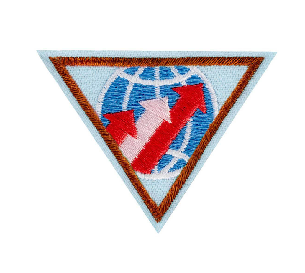 BROWNIE GLOBAL ACTION AWARD YEAR 1