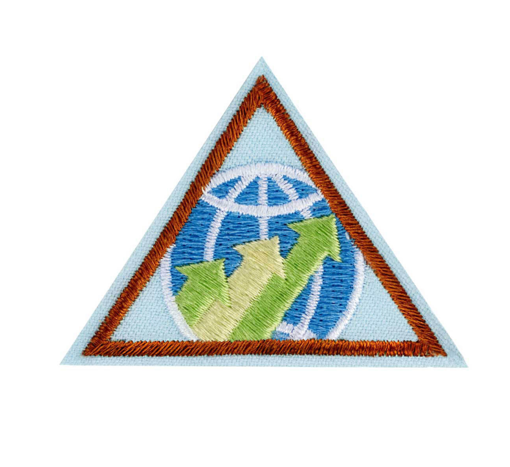 BROWNIE GLOBAL ACTION AWARD YEAR 2