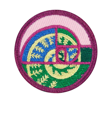 JUNIOR SHAPES IN NATURE BADGE