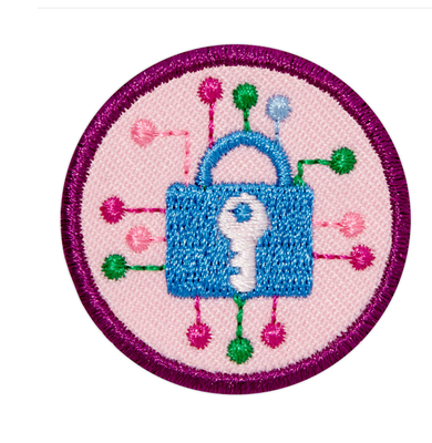 Junior Cybersecurity Investigator 3