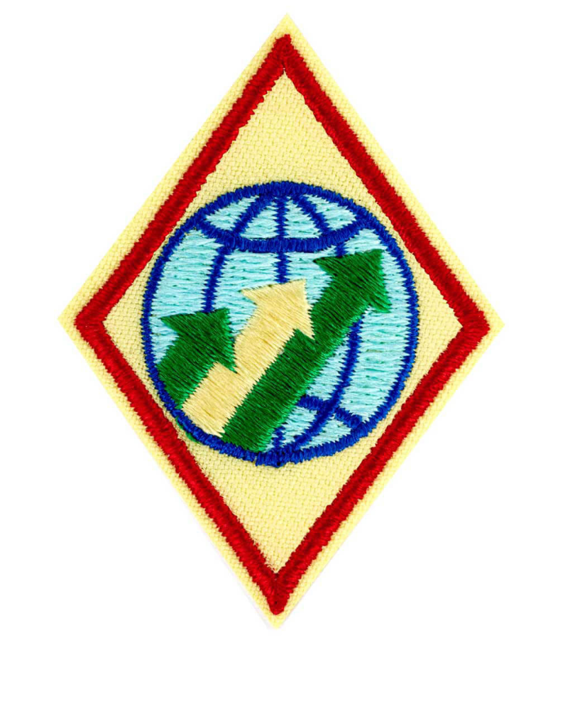 CADETTE GLOBAL ACTION AWARD YEAR 3