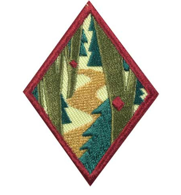 CADETTE TRAILBLAZING BADGE REQUIREMENTS