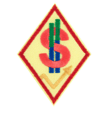 CADETTE BUDGET MANAGER FINANCIAL WELLNESS