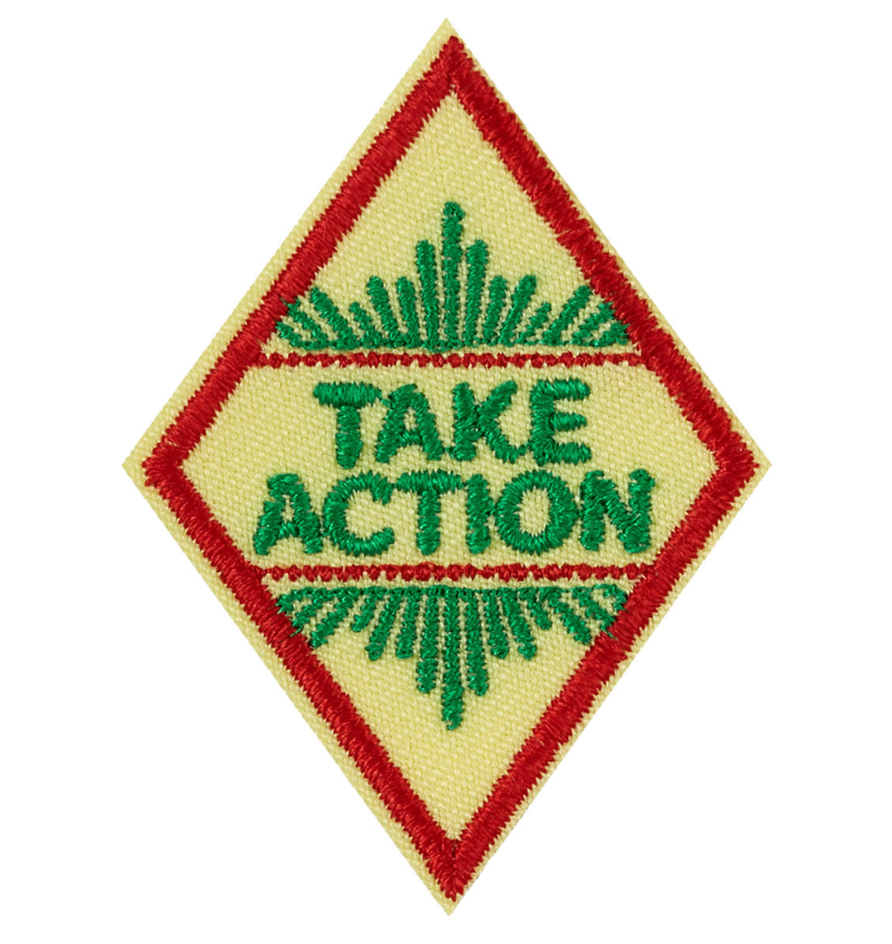 Cadette Take Action Award