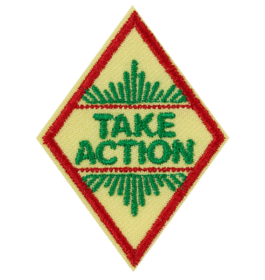 Cadette Take Action Award