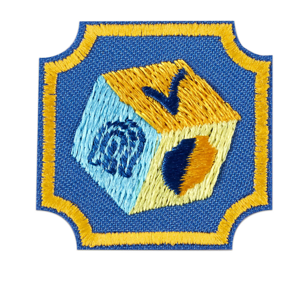 Ambassador Cybersecurity Safeguards 2