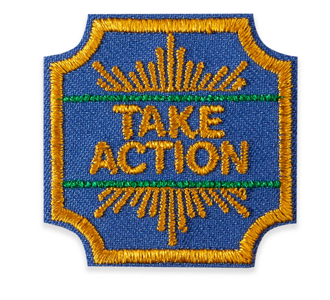 Ambassador Take Action Award
