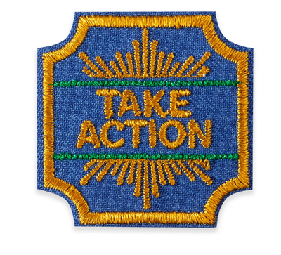 Ambassador Take Action Award
