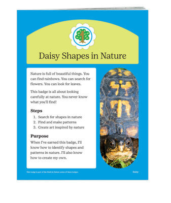 DAISY SHAPES IN NATURE BADGE REQUIREMENTS