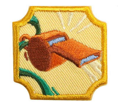 AMBASSADOR COACHING BADGE