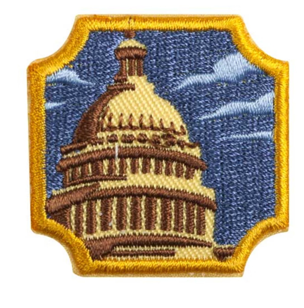 AMBASSADOR PUBLIC POLICY BADGE