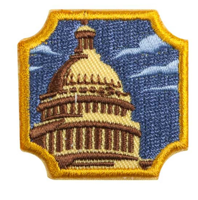 AMBASSADOR PUBLIC POLICY BADGE