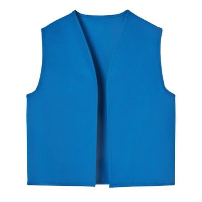 Official Daisy Vest