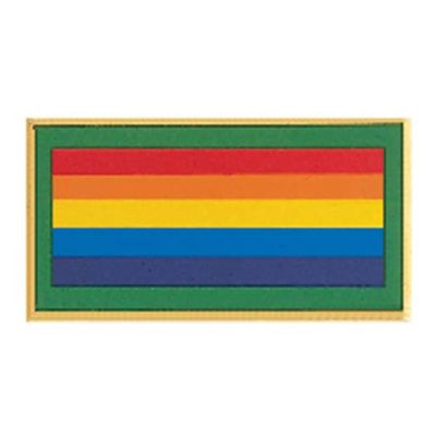 BRIDGE TO ADULT GIRL SCOUTS AWARD PIN