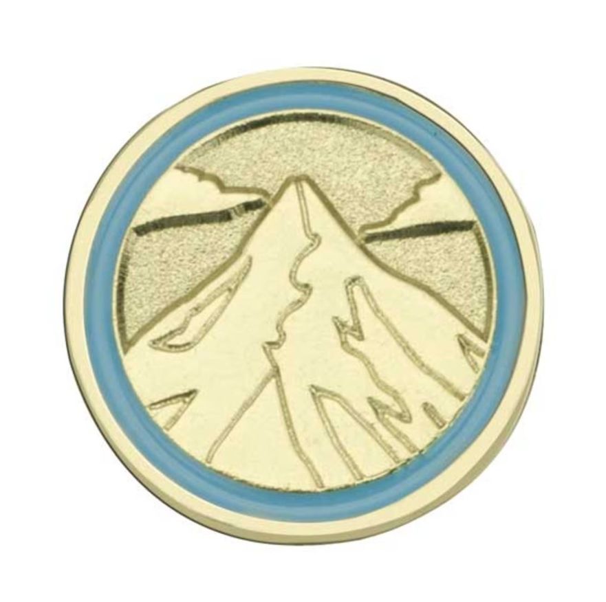 DAISY JOURNEY SUMMIT AWARD PIN