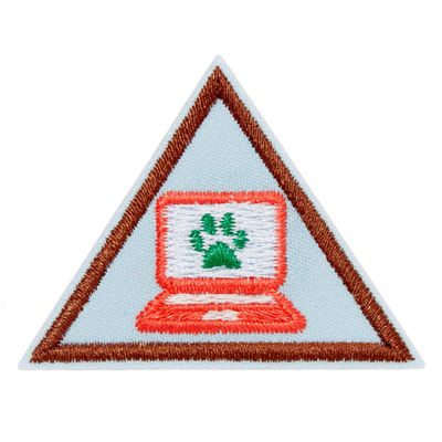 Brownie Cybersecurity Safeguards 2