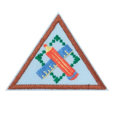Brownie Engineering Journey Award-Think Like an Engineer