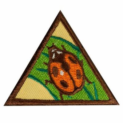 BROWNIE BUGS BADGE