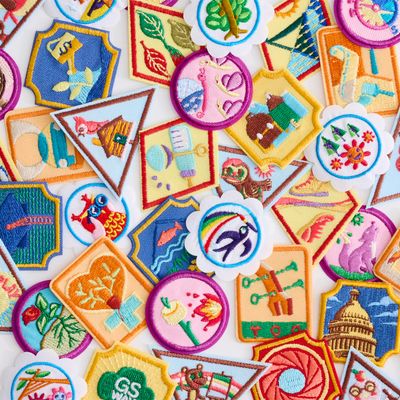 Badges &amp; Program
