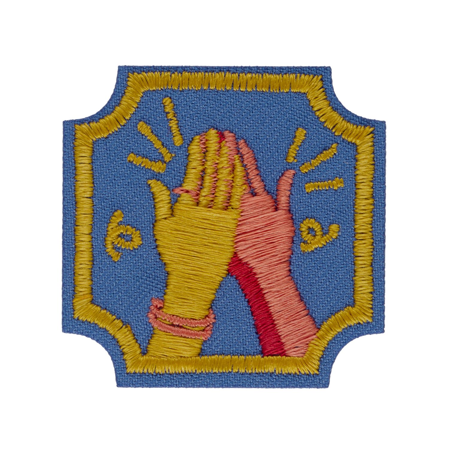 AMBASSADOR CHEERS FOR EVERY BODY BADGE