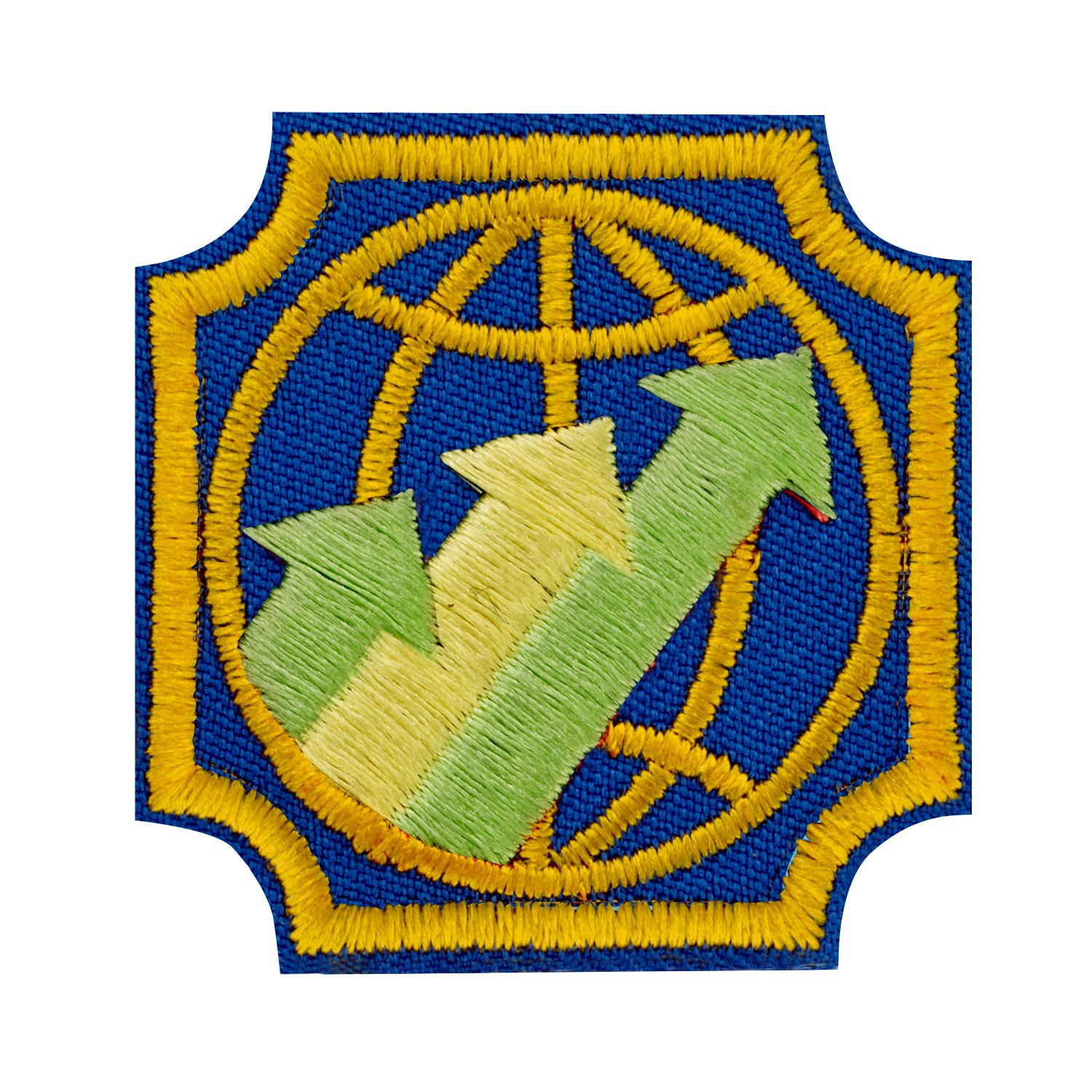 AMBASSADOR GLOBAL ACTION AWARD YEAR 2